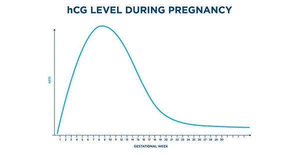 میزان گنادوتروپین جفتی انسان (hCG)